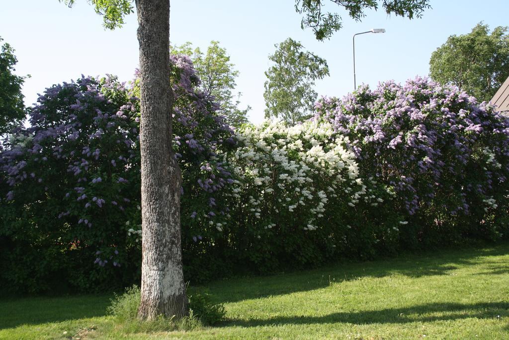 Gaesthem Kronan Mariehamn Camera foto